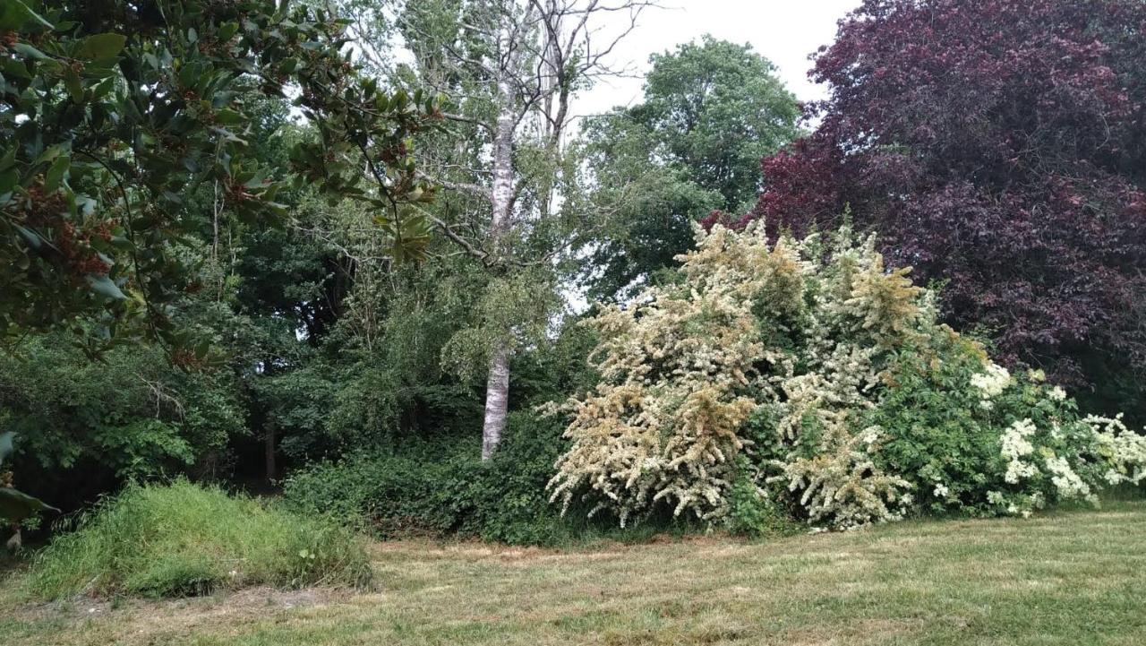 Chambre A La Ferme Saint-Martin-des-Champs  Eksteriør bilde